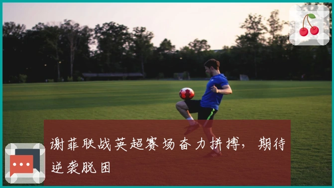 谢菲联战英超赛场奋力拼搏，期待逆袭脱困